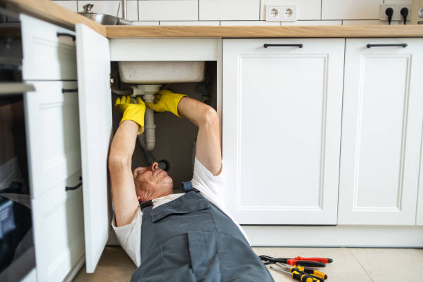 Best Sprinkler Systems  in Apopka, FL